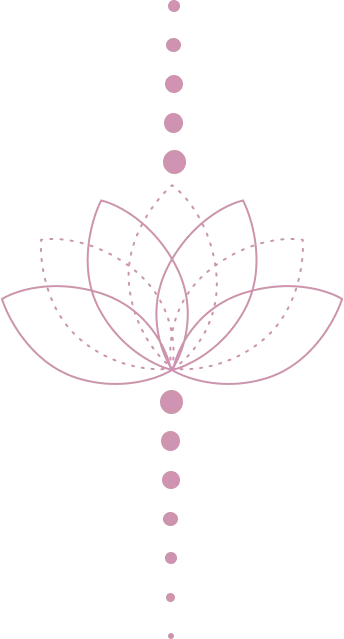 Descripción de la imagen